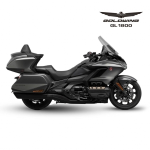 GOLDWING 2024_1