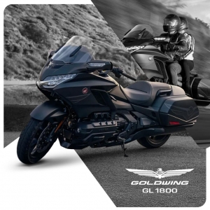 GOLDWING 2024_2