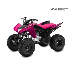TRX 250X 2022_2